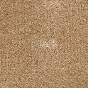 Ковролин Radici Admiral Stone 2227 фото 1 | FLOORDEALER